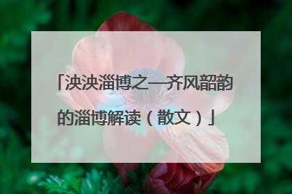 泱泱淄博之—齐风韶韵的淄博解读（散文）
