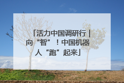 活力中国调研行｜向“智”！中国机器人“跑”起来