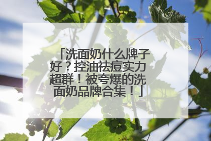 洗面奶什么牌子好？控油祛痘实力超群！被夸爆的洗面奶品牌合集！