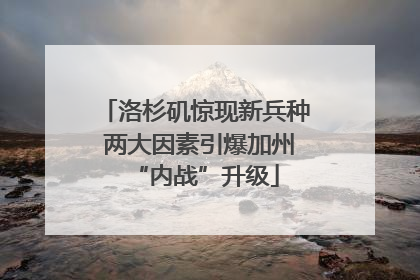 洛杉矶惊现新兵种 两大因素引爆加州“内战”升级