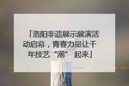 洛阳非遗展示展演活动启幕，青春力量让千年技艺“潮” 起来