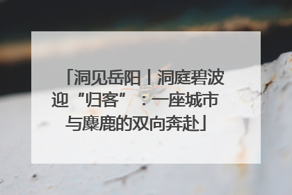 洞见岳阳丨洞庭碧波迎“归客”：一座城市与麋鹿的双向奔赴