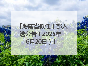 海南省拟任干部人选公告（2025年6月20日）