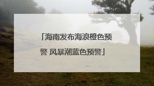 海南发布海浪橙色预警 风暴潮蓝色预警