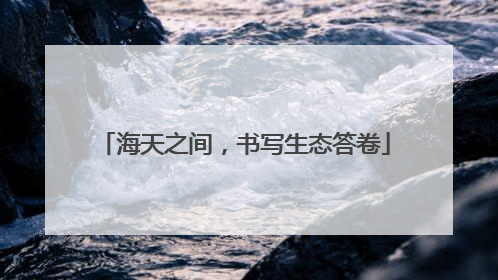 海天之间，书写生态答卷