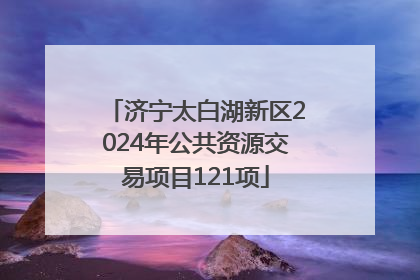 济宁太白湖新区2024年公共资源交易项目121项