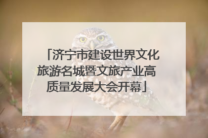 济宁市建设世界文化旅游名城暨文旅产业高质量发展大会开幕