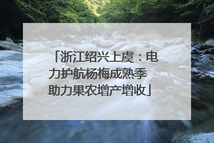 浙江绍兴上虞：电力护航杨梅成熟季 助力果农增产增收