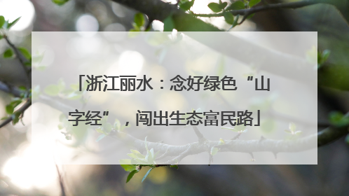 浙江丽水：念好绿色“山字经”，闯出生态富民路