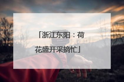 浙江东阳：荷花盛开采摘忙
