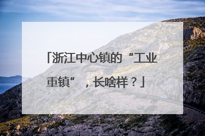 浙江中心镇的“工业重镇”，长啥样？