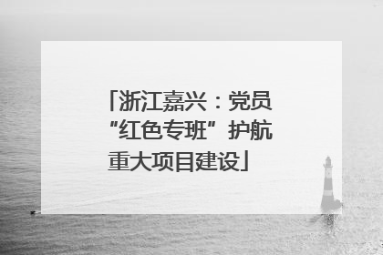 浙江嘉兴：党员“红色专班”护航重大项目建设