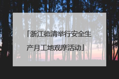 浙江德清举行安全生产月工地观摩活动