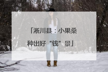 淅川县：小果桑种出好“钱”景