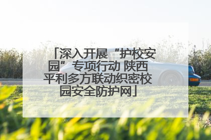深入开展“护校安园”专项行动 陕西平利多方联动织密校园安全防护网