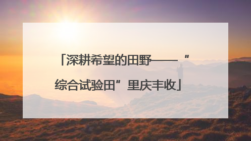 深耕希望的田野——“综合试验田”里庆丰收