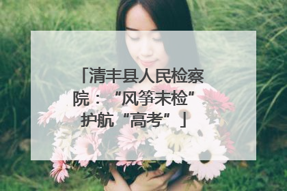 清丰县人民检察院：“风筝未检”护航“高考”