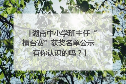 湖南中小学班主任“擂台赛”获奖名单公示 有你认识的吗？