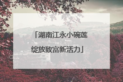 湖南江永小碗莲绽放致富新活力