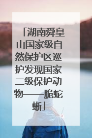湖南舜皇山国家级自然保护区巡护发现国家二级保护动物——脆蛇蜥