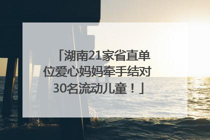 湖南21家省直单位爱心妈妈牵手结对30名流动儿童！
