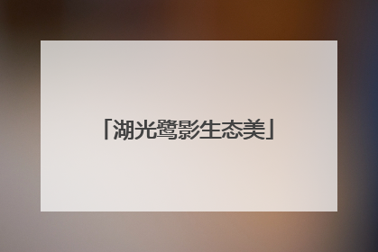 湖光鹭影生态美