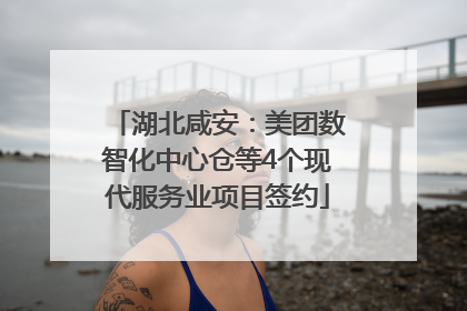 湖北咸安：美团数智化中心仓等4个现代服务业项目签约