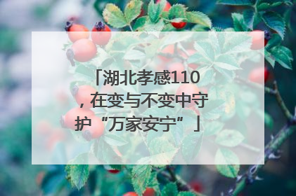 湖北孝感110，在变与不变中守护“万家安宁”
