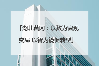 湖北黄冈：以数为窗观变局 以智为镜促转型