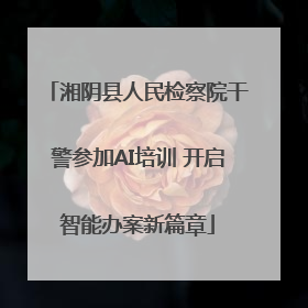 湘阴县人民检察院干警参加AI培训 开启智能办案新篇章