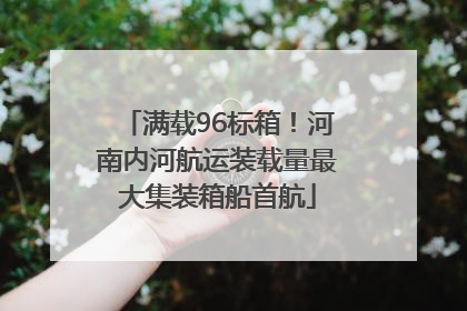 满载96标箱！河南内河航运装载量最大集装箱船首航