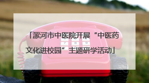 漯河市中医院开展“中医药文化进校园”主题研学活动