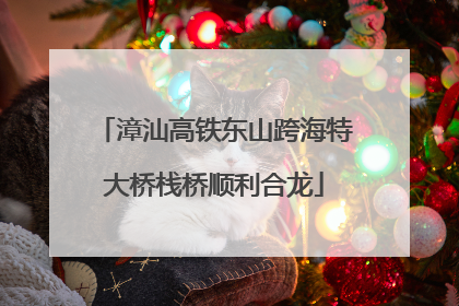 漳汕高铁东山跨海特大桥栈桥顺利合龙