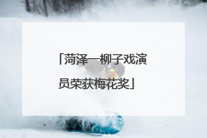 菏泽一柳子戏演员荣获梅花奖