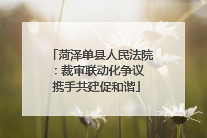 菏泽单县人民法院：裁审联动化争议 携手共建促和谐