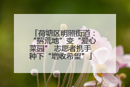 荷塘区明照街道：“撂荒地”变“爱心菜园” 志愿者携手种下“增收希望”