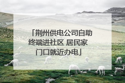 荆州供电公司自助终端进社区 居民家门口就近办电