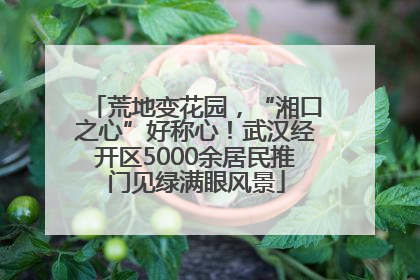 荒地变花园，“湘口之心”好称心！武汉经开区5000余居民推门见绿满眼风景