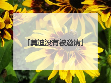 莫迪没有被邀请