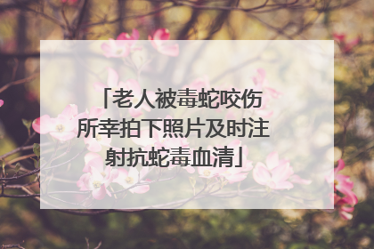 老人被毒蛇咬伤 所幸拍下照片及时注射抗蛇毒血清