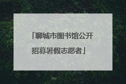 聊城市图书馆公开招募暑假志愿者