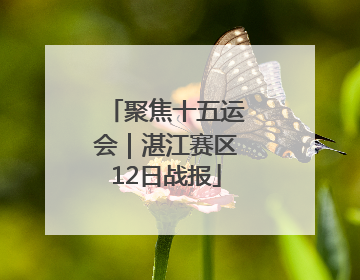 聚焦十五运会｜湛江赛区12日战报