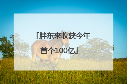胖东来收获今年首个100亿