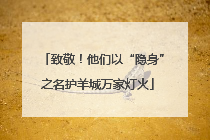 致敬！他们以“隐身”之名护羊城万家灯火