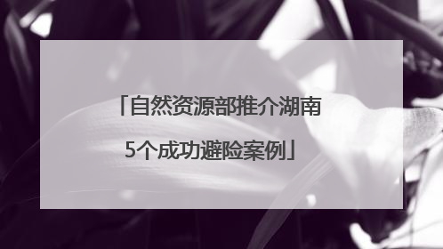 自然资源部推介湖南5个成功避险案例