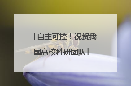 自主可控！祝贺我国高校科研团队