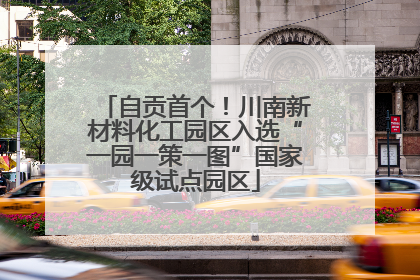 自贡首个！川南新材料化工园区入选“一园一策一图”国家级试点园区