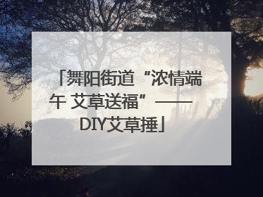 舞阳街道“浓情端午 艾草送福”——DIY艾草捶