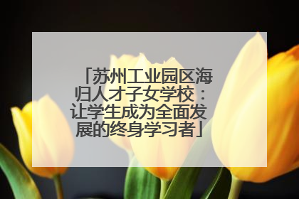 苏州工业园区海归人才子女学校：让学生成为全面发展的终身学习者