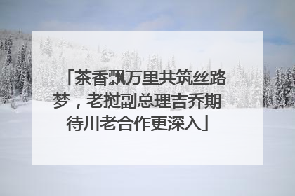 茶香飘万里共筑丝路梦，老挝副总理吉乔期待川老合作更深入